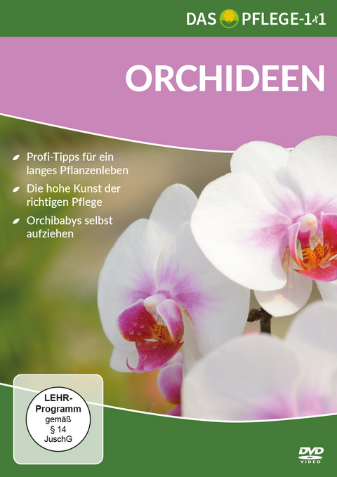 Das Pflege-1x1 Orchideen