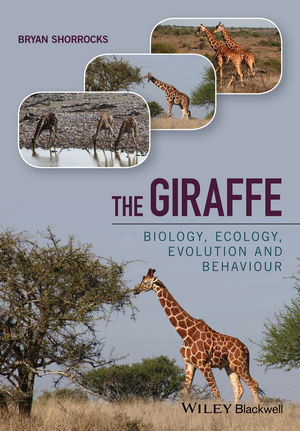 The Giraffe - Bryan Shorrocks