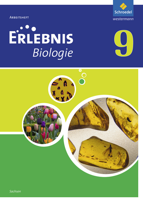 Erlebnis Biologie / Erlebnis Biologie - Ausgabe 2012 für Sachsen