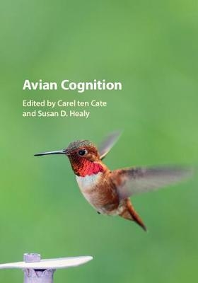 Avian Cognition - 