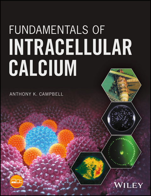 Fundamentals of Intracellular Calcium -  Anthony K. Campbell