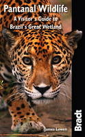 Pantanal Wildlife - James Lowen