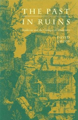 The Past in Ruins - David Gross