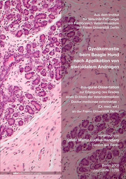 Gynäkomastie beim Beagle Hund nach Applikation von steroidalem Androgen - Oliver Lüdtke-Handjery