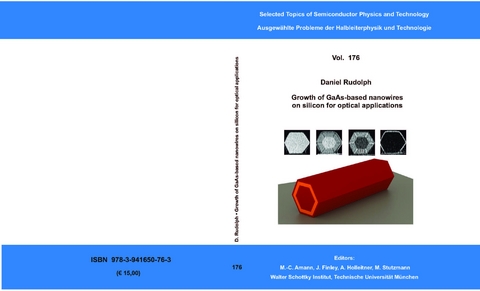 Growth of GaAs-based nanowires on silicon for optical applications - Daniel Rudolph