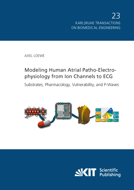 Modeling Human Atrial Patho-Electrophysiology from Ion Channels to ECG - Substrates, Pharmacology, Vulnerability, and P-Waves - Axel Loewe