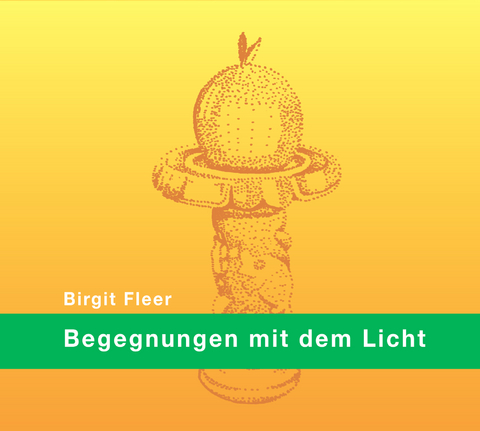 Begegnungen mit dem Licht - Birgit Fleer