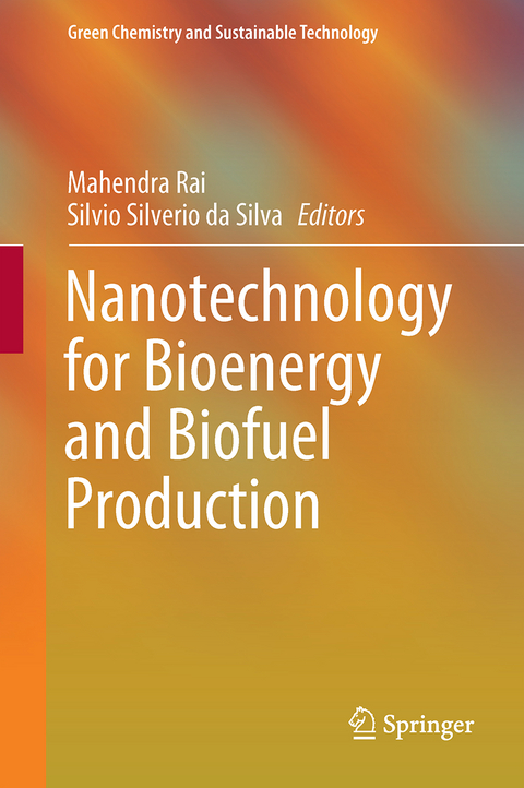 Nanotechnology for Bioenergy and Biofuel Production - 