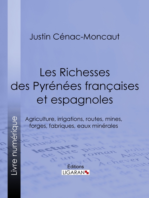 Les Richesses des Pyrénées françaises et espagnoles - Justin Cénac-Moncaut,  Ligaran