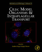 Cilia: Model Organisms and Intraflagellar Transport - 