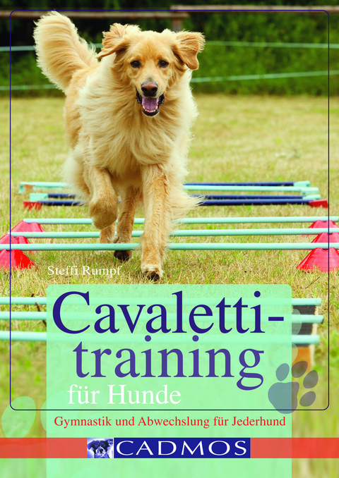 Cavalettitraining für Hunde - Steffi Rumpf