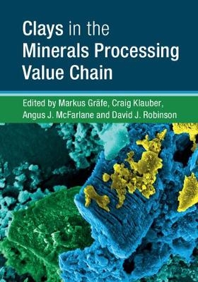 Clays in the Minerals Processing Value Chain - 