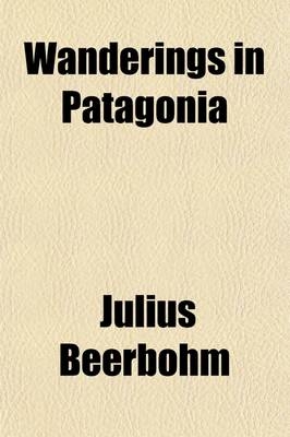 Wanderings in Patagonia; Or, Life Among the Ostrich-Hunters - Julius Beerbohm