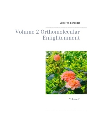 Volume 2 Orthomolecular Enlightenment - Volker H. Schendel