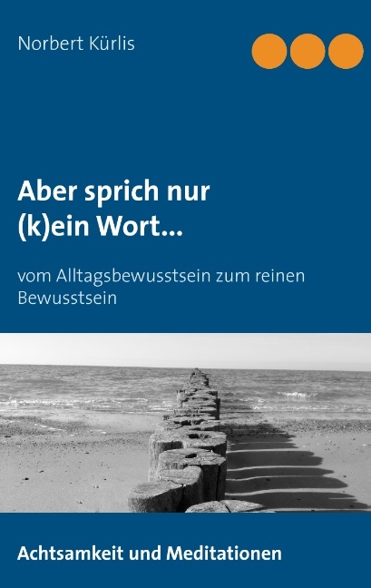 Aber sprich nur (k)ein Wort... - Norbert Kürlis