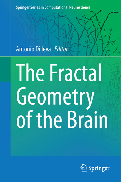 The Fractal Geometry of the Brain - 