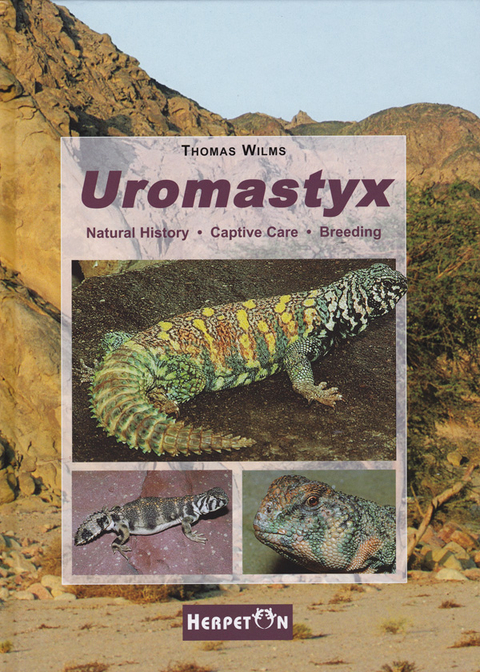 Uromastyx - Thomas Wilms