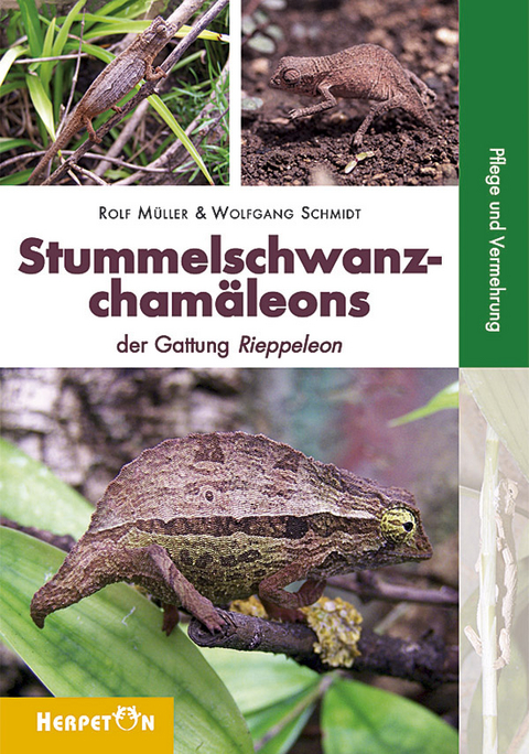 Stummelschwanzchamäleons - Rolf Müller, Wolfgang Schmidt