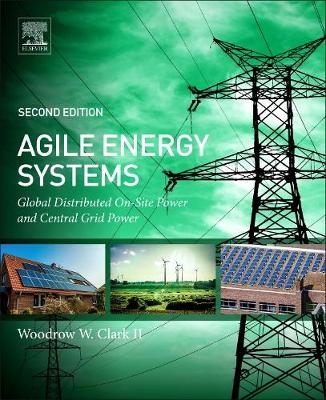 Agile Energy Systems -  Woodrow W. Clark II