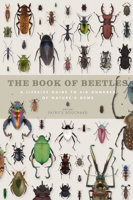 The Book of Beetles : A Lifesize Guide to Six Hundred of Nature's Gems - 