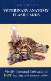 Saunders Veterinary Anatomy Flash Cards -  Saunders