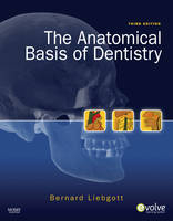 The Anatomical Basis of Dentistry - Bernard Liebgott