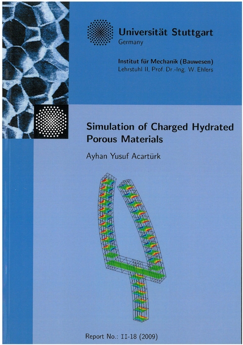 Extended modelling of the multiphasic human brain tissue with application to drug-infusion processes - Arndt Wagner