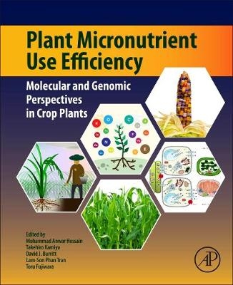 Plant Macronutrient Use Efficiency - 