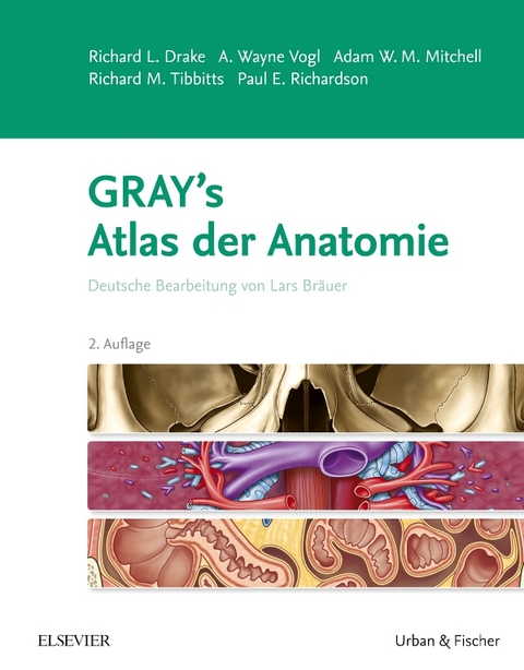 Gray's Atlas der Anatomie - Richard L. Drake, A. Wayne Vogl, Adam W.M. Mitchell