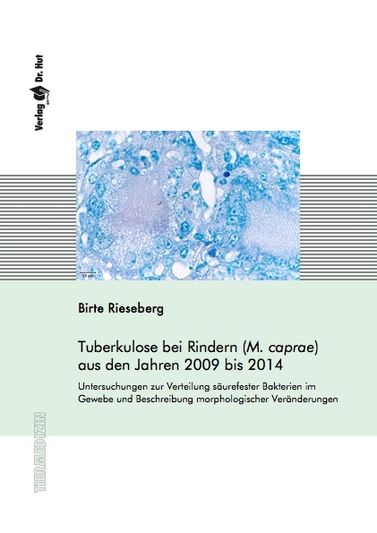 Tuberkulose bei Rindern (M. caprae) aus den Jahren 2009 bis 2014. Untersuchungen zur Verteilung säurefester Bakterien im Gewebe und Beschreibung morphologischer Veränderungen - Birte Rieseberg