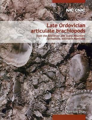 Late Ordovician Articulate Brachiopods from the Red River and Stony Mountain Formations, Southern Manitoba