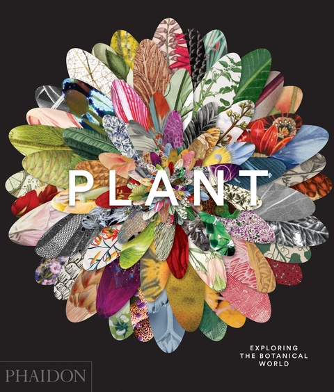 Plant -  Phaidon Editors