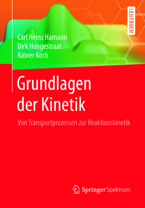 Grundlagen der Kinetik - Carl Heinz Hamann, Dirk Hoogestraat, Rainer Koch