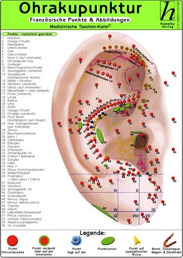 Ohrakupunktur - französische Punkte & Abbildungen / Medizinische Taschen-Karte - 