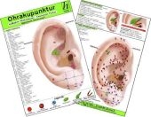 Ohrakupunktur - Indikation: Tinnitus - chinesische Ohrakupunktur / Medizinische Taschen-Karte