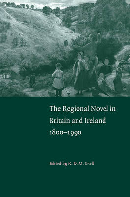 The Regional Novel in Britain and Ireland - 