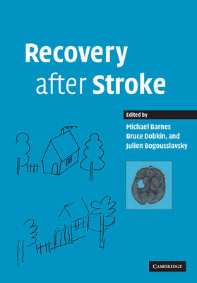 Recovery after Stroke - 