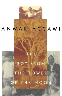 The Boy from the Tower of the Moon - Anwar Accawi