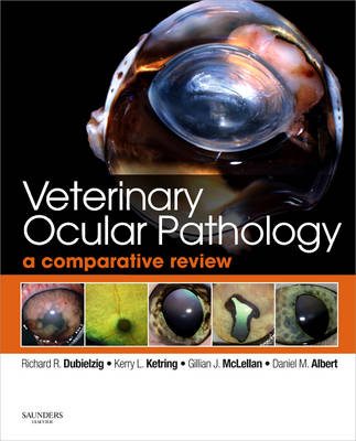Veterinary Ocular Pathology - Richard R. Dubielzig, Kerry L. Ketring, Gillian J McLellan, Daniel M. Albert