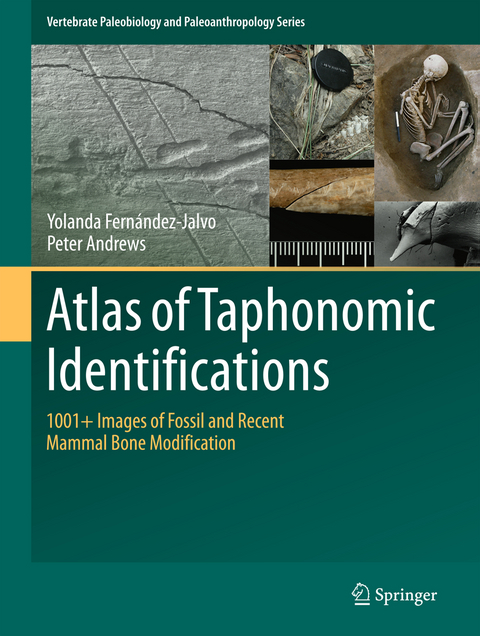 Atlas of Taphonomic Identifications - Yolanda Fernandez-Jalvo, Peter Andrews
