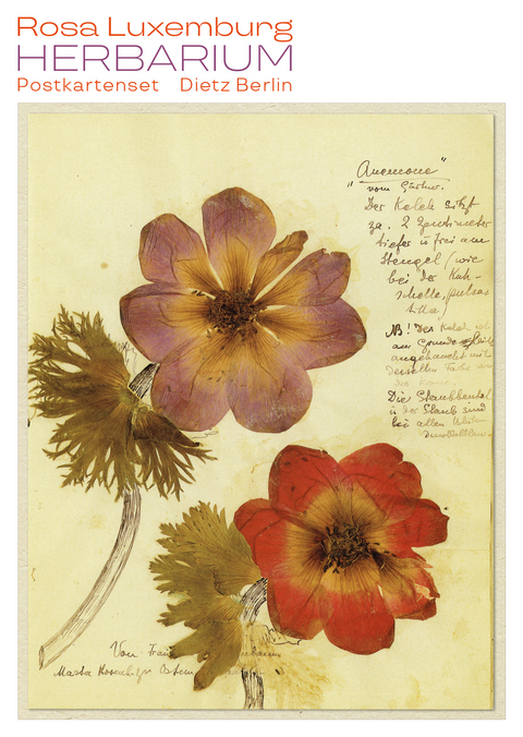 Herbarium Postkartenset - Rosa Luxemburg