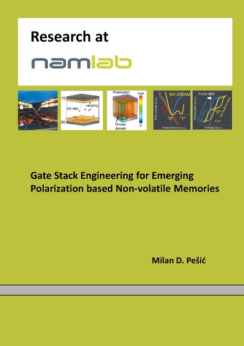 Gate Stack Engineering for Emerging Polarization based Non-volatile Memories -  Milan Pesic