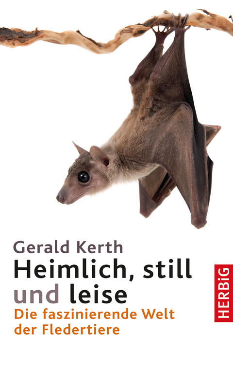 Heimlich, still und leise - Gerald Kerth