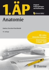 1. ÄP - Anatomie