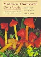Mushrooms of Northeastern North America - Alan E. Bessette, Arleen Rainis Bessette, David W. Fischer