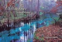 Ichetucknee - 