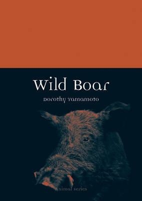 Wild Boar -  Yamamoto Dorothy Yamamoto
