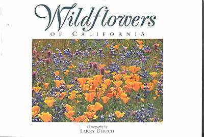 Wildflowers of California - Susan Lamb
