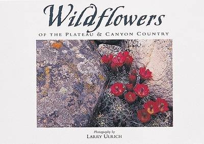Wildflowers of the Plateau & Canyon Country - Susan Lamb