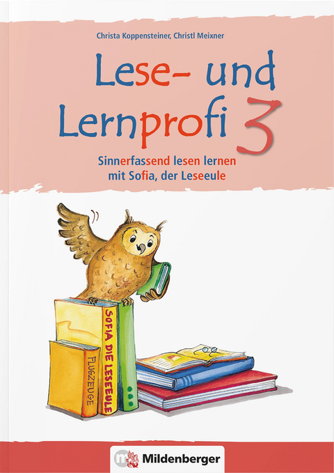 Lese- und Lernprofi 3 – Arbeitsheft – silbierte Ausgabe - Christa Koppensteiner, Christl Meixner